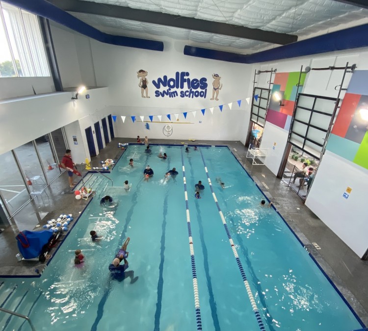 Wolfies Swim School (Bellaire,&nbspTX)